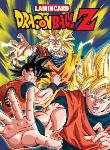 Coleccion Dragon Ball Z Lamincards