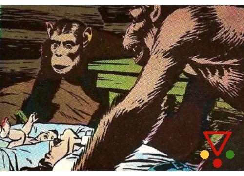 6  de la colección Tarzan. Edgar Rice Burroughs en ACABARAMOS.COM