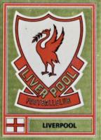 Team Badge