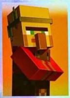 Minecraft Wonderful World