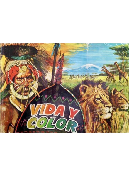 Vida y Color 3