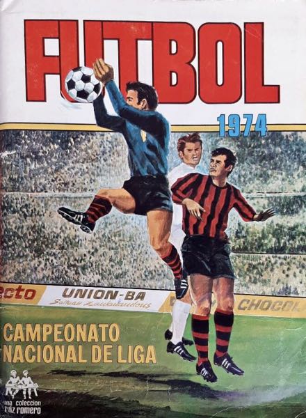 Campeonato Nacional de Futbol 1973-1974