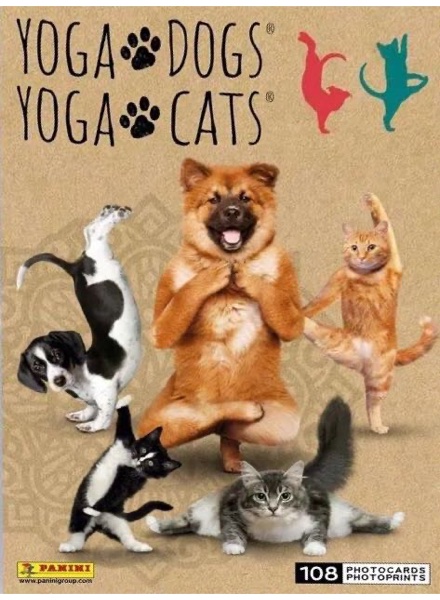Yoga Dogs Yoga Cats
