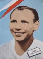Campeonato Mundial de Futbol 1962