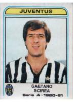 Calciatori 1980-1981