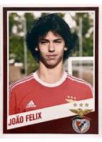 Caderneta oficial SL Benfica 2015-2016