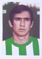 Fútbol 1981-82