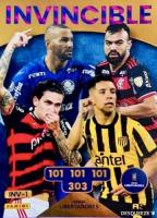 Conmebol Libertadores Sudamericana Adrenalyn XL 2024