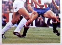 LIGA ESTE 1980-81
